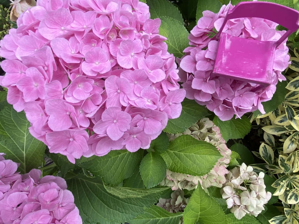 "I don't like mondays" hat sich erledigt