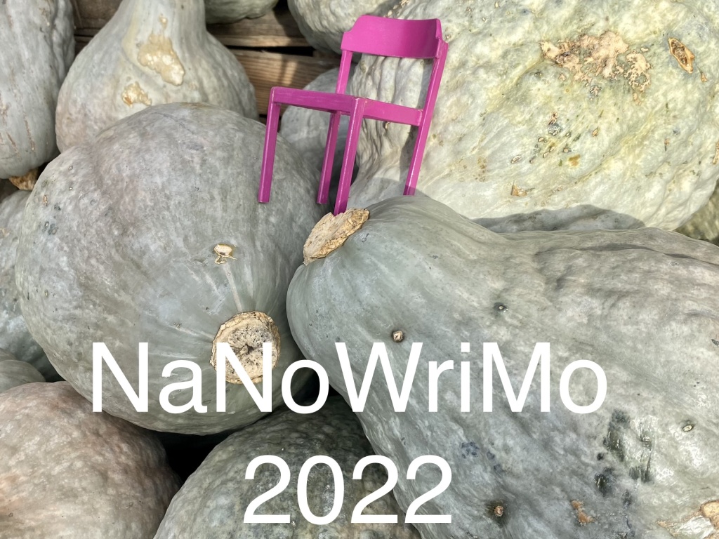 NaNoWriMo - Druck oder Motivation?
