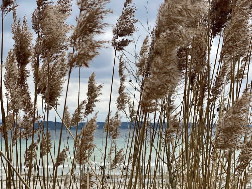 Ich brauche Lieblingsorte