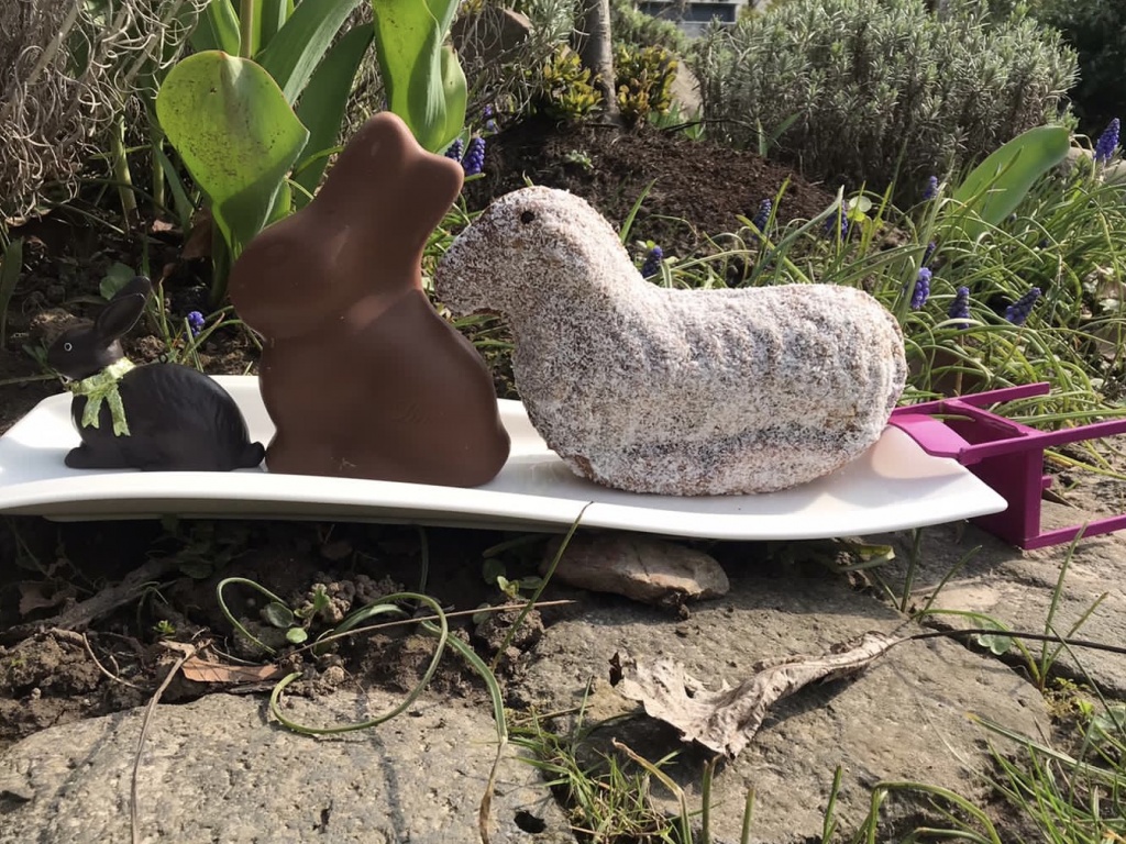 Mir doch egal, wie alt ich bin. Ich möchte einen Schokohasen zu Ostern!